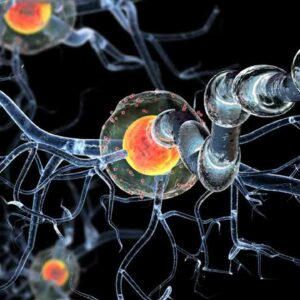 A Few Things to Know about Huntington’s Disease