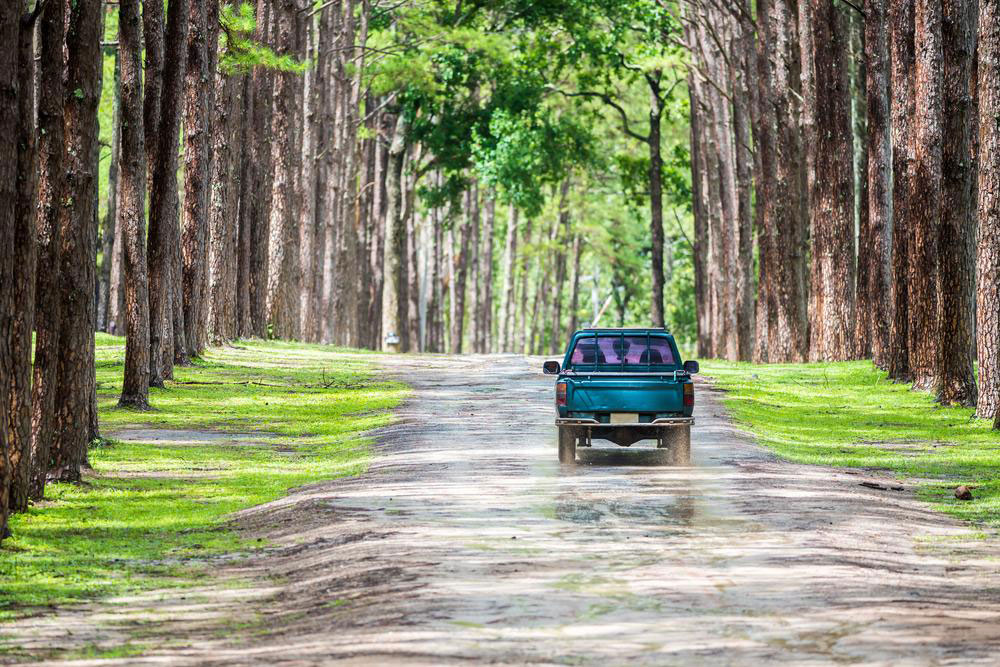 Here’s how useful pickup trucks are